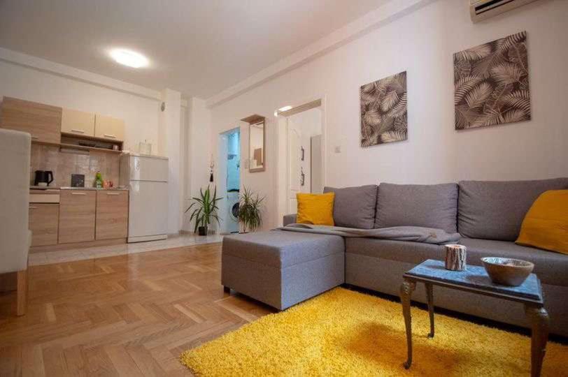 Il comprend un salon avec un canapé gris et une cuisine. dans l'établissement Centar stan na dan za do 4 osobe, à Novi Sad