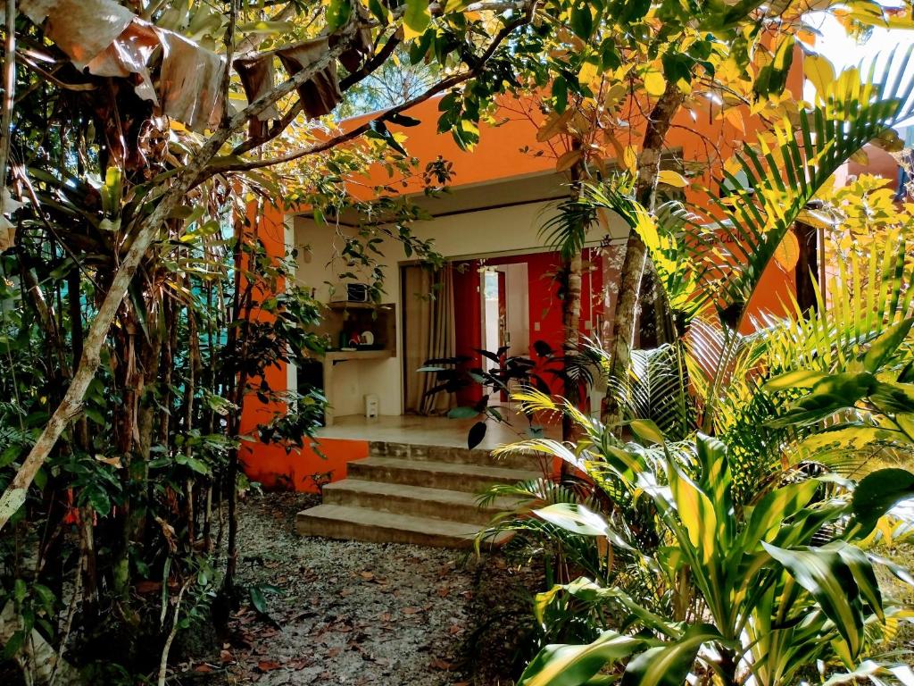 Una casa con un montón de plantas delante de ella. en CASTEX BISTRÔ E CABANAS, en Arraial d'Ajuda