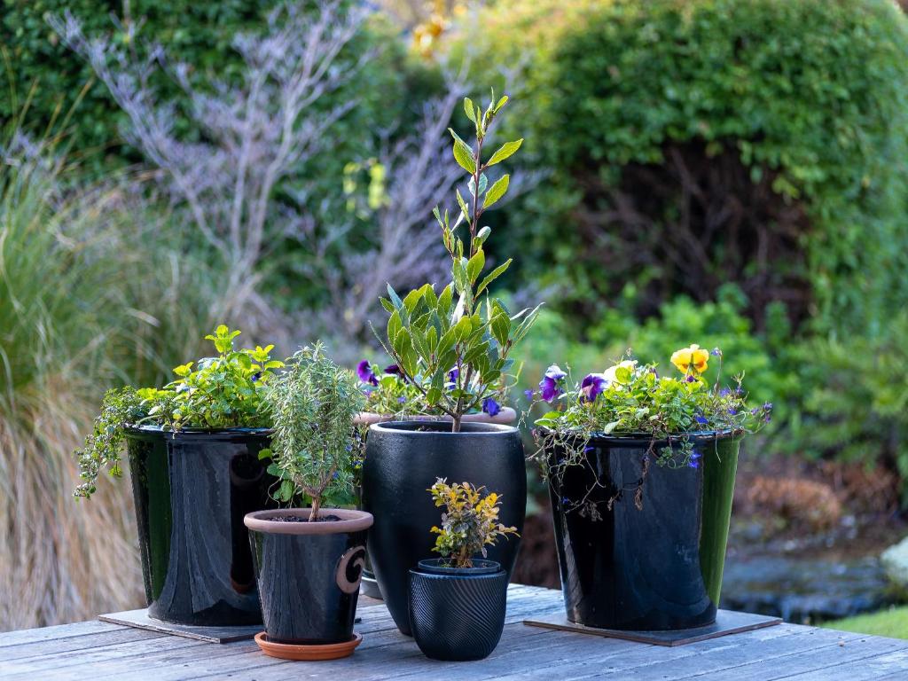 Wanaka Springs Lodge - Resim 25