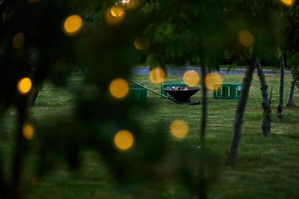 Zahrada ubytování Hesselgaard Glamping
