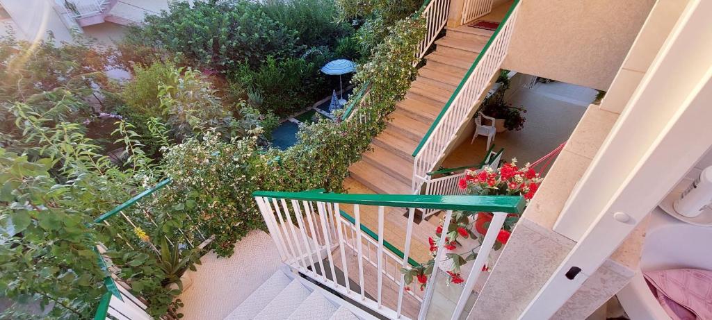 A garden outside Casa di Sofia