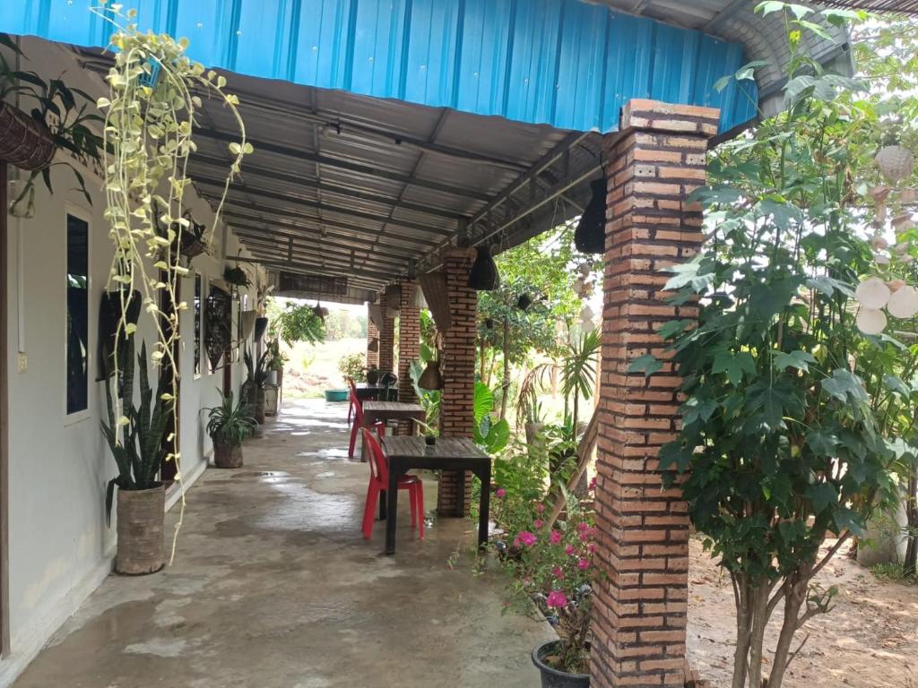 Zahrada ubytování Phonluer Angkor Homestay,