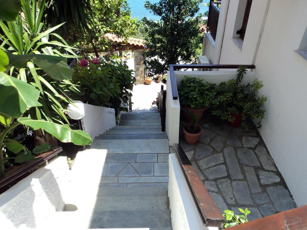 Zahrada ubytování Villa Sunray