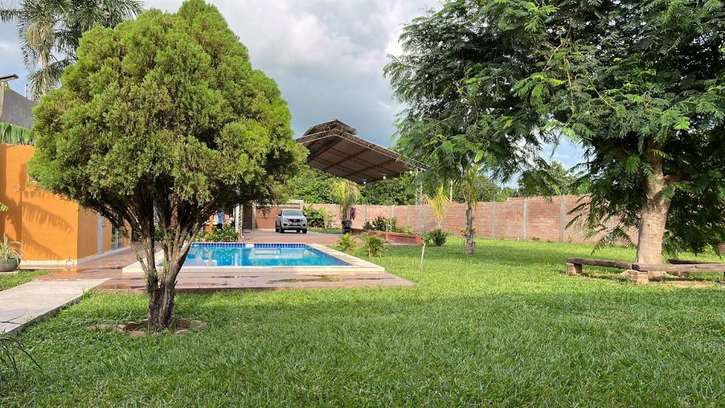 a yard with a swimming pool and a tree at Quinta Los Pinos Cotoca in Cotoca