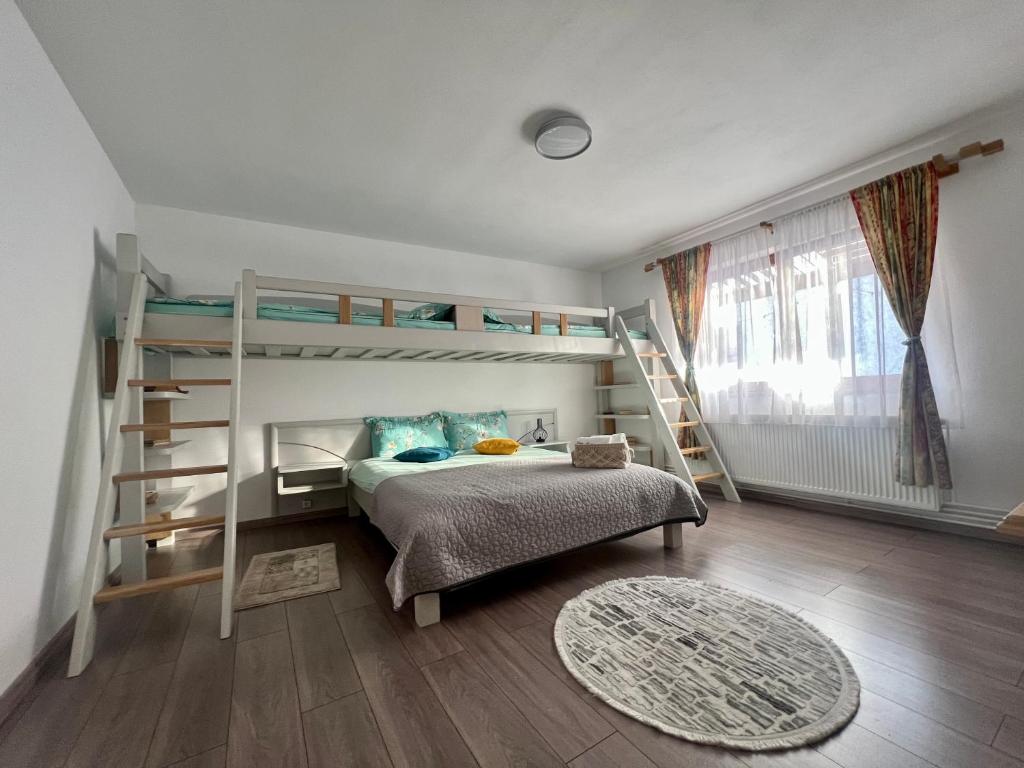 a bedroom with a bunk bed and a ladder at Casa Matteo - Rustic & cosy getaway in Zărnești in Zărneşti