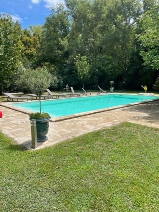 - une piscine avec bancs dans une cour dans l'établissement Mas de Barthe Avignon, Ile de la Barthelasse, à Avignon