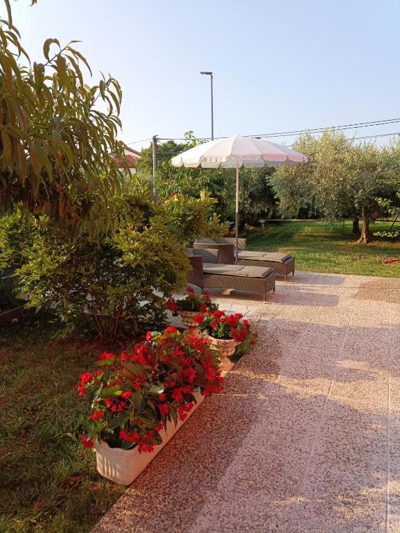 Vonkajšia záhrada v ubytovaní Apartment Dorina