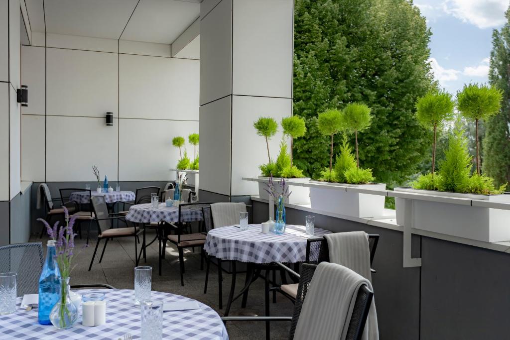 Zahrada ubytování Hotel Zatoka