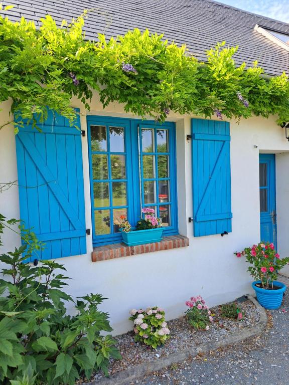 een huis met blauwe luiken en bloemen bij La maison des animaux de compagnie in Grumesnil