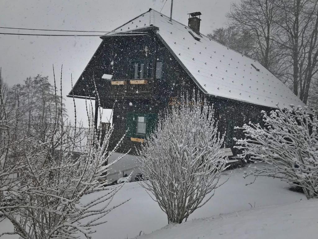 Ferienhütte Simon Gregor v zimě