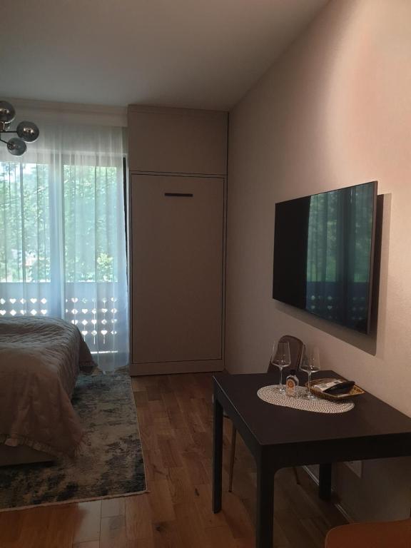 TV a/nebo společenská místnost v ubytování Guest House Vila Lujza