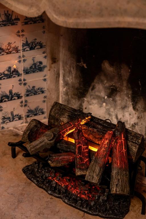 a fire burning in a fireplace in a room at Excess Venice Boutique Hotel & Private Spa - Adults Only in Venice