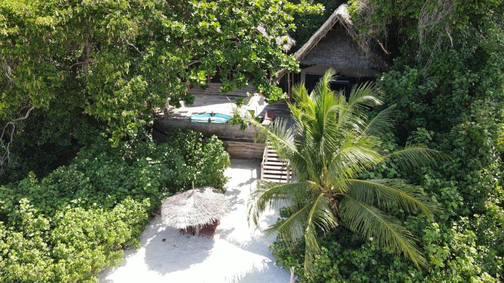 an aerial view of a resort with a palm tree at Fundu Lagoon in Pemba
