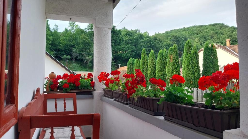 un balcón con flores rojas en recipientes en una ventana en Karádi Vendégház en Háromhuta