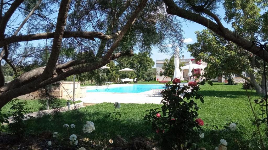 a view of a swimming pool in a yard at Tenuta alla Castellana in Gallipoli