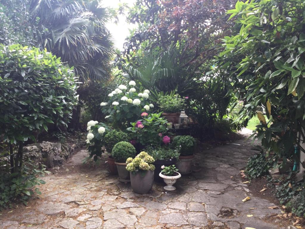 a garden with potted plants and flowers on a path at L’orangerie du Général in Saint-Jean-dʼAngély