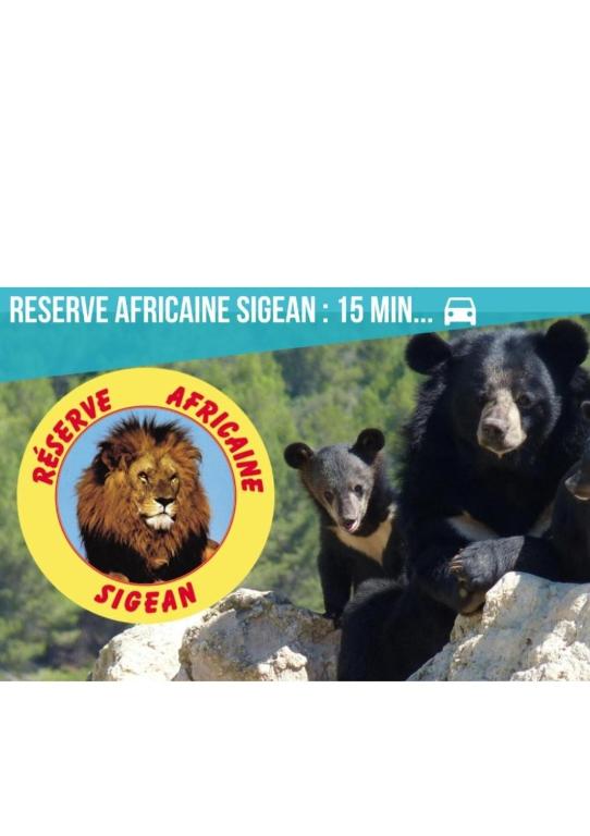a zoo advertisement with a lion and two cubs at Gîte Riad 4 personnes in Narbonne