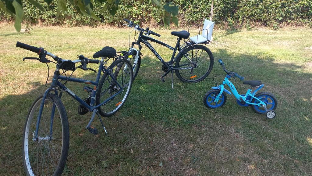 two bikes parked in the grass next to a blue bicycle at les vignes d&#39;Ygrande in Ygrande