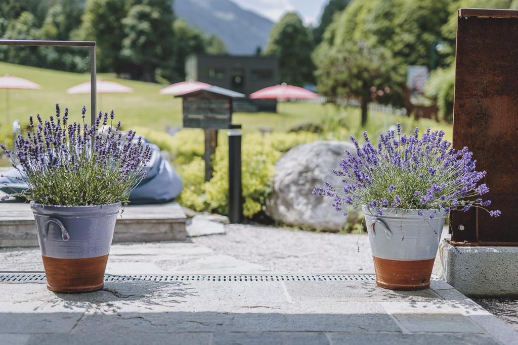 Vonkajšia záhrada v ubytovaní Ski & Bike Hotel Wiesenegg