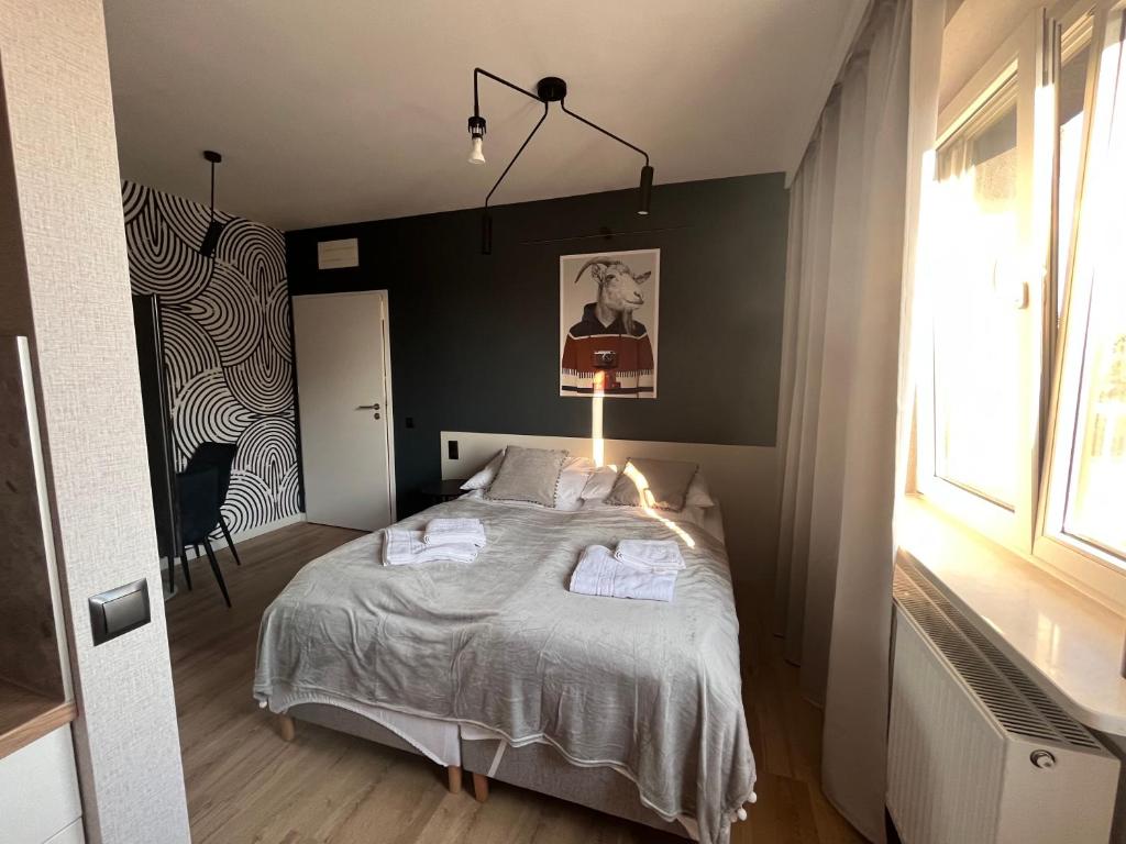 Wide bedroom view with made bed, patterned accent wall, goat poster, sheer curtains and morning light.