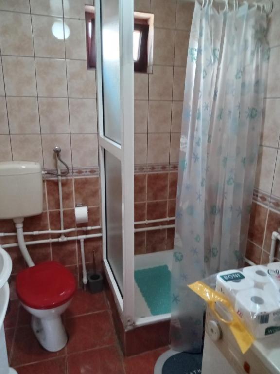 Kupatilo u objektu Planinska Kuća Dušan