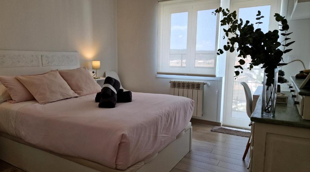 Soleado a un Paseo de la Catedral - 17