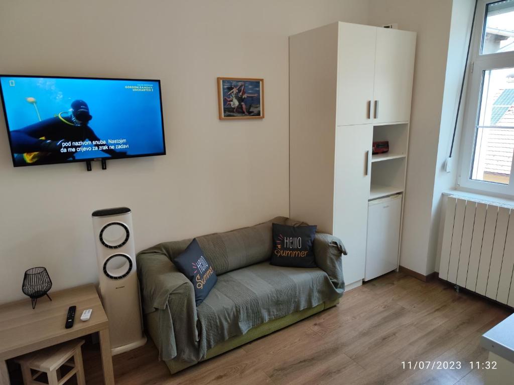 Televízia a/alebo spoločenská miestnosť v ubytovaní Apartments City of Hearts 3