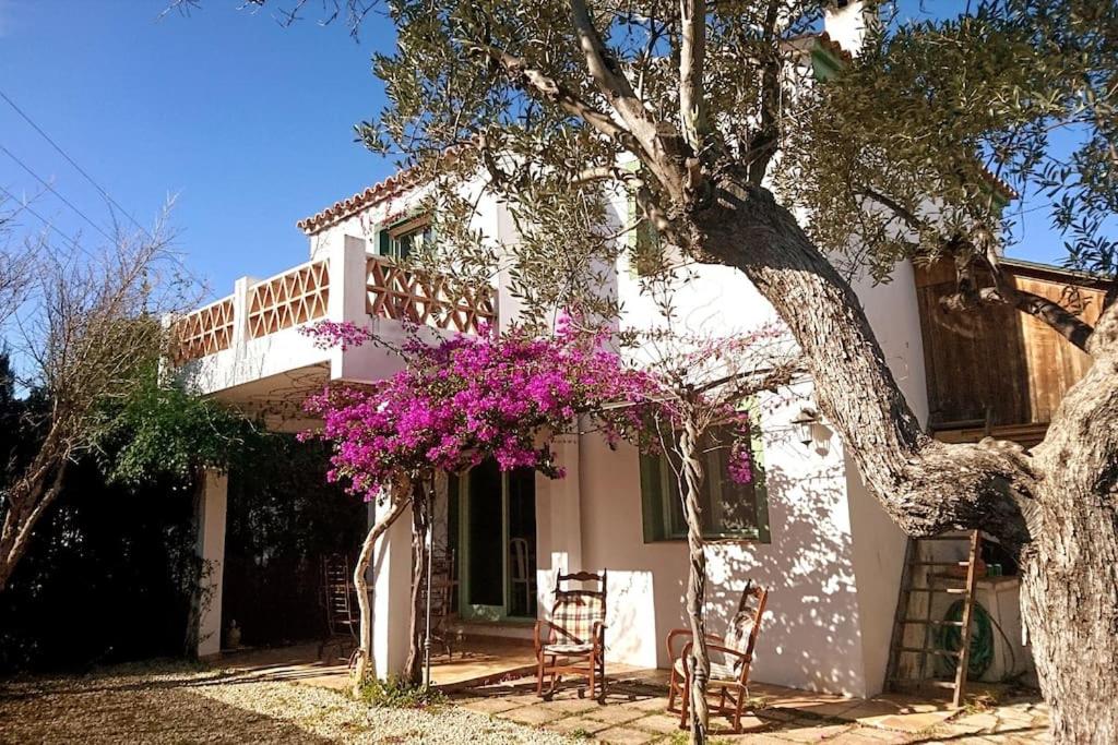 una casa blanca con flores púrpuras y un árbol en Villa familiar en la montaña, con acceso a piscina, en Denia