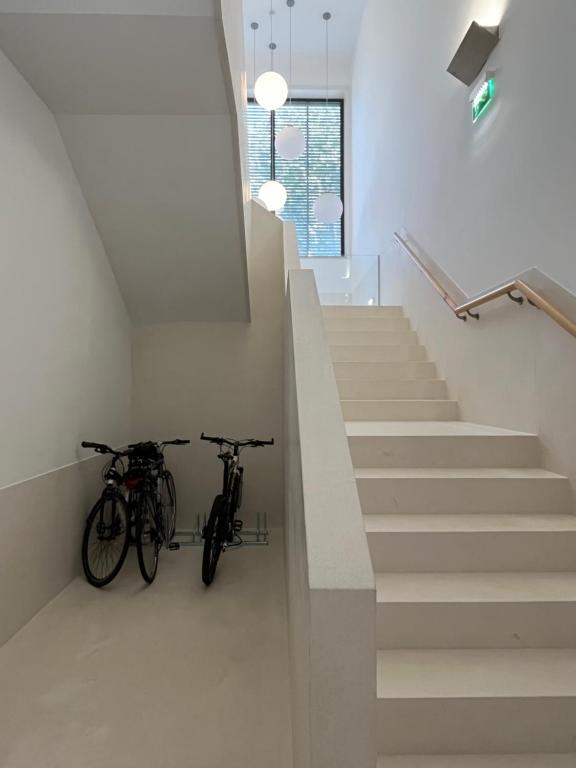 Albergue de Santa Luzia - Peregrinos de Santiago - 17