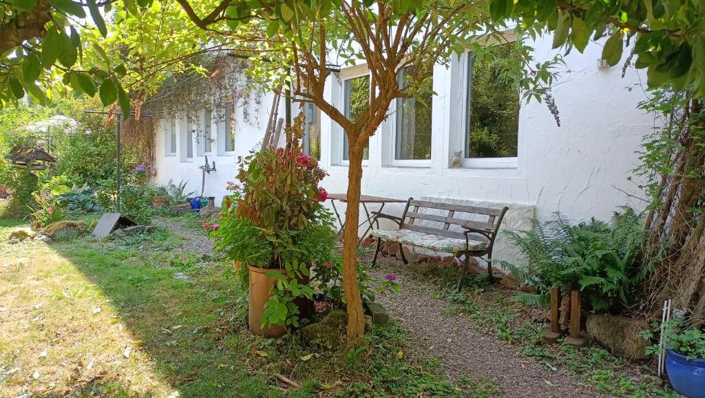 Zahrada ubytování Casa Verde Sinnerthal