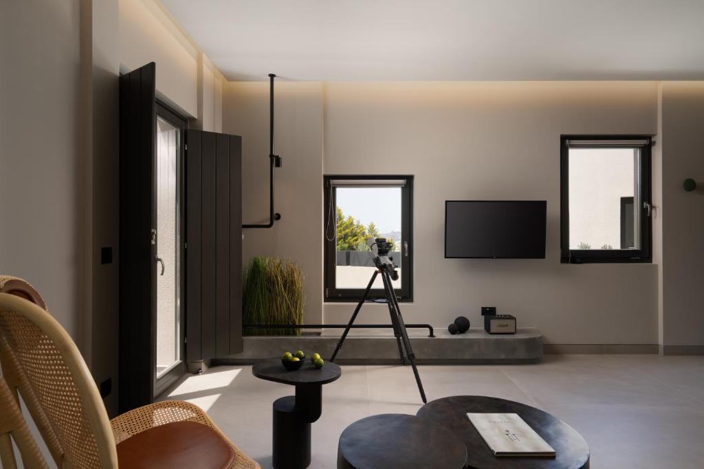 Apikia Santorini - 7