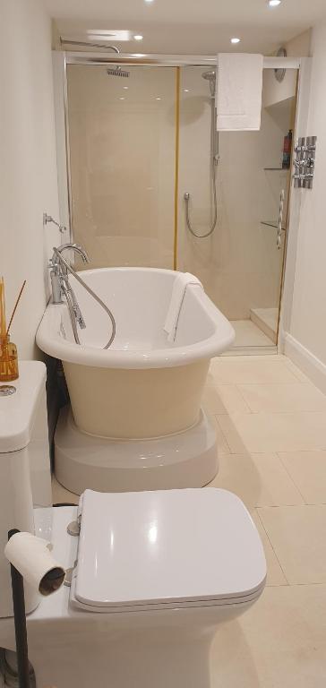 La salle de bains est pourvue d'une baignoire, de toilettes et d'un lavabo. dans l'établissement Garden flat, à Bath
