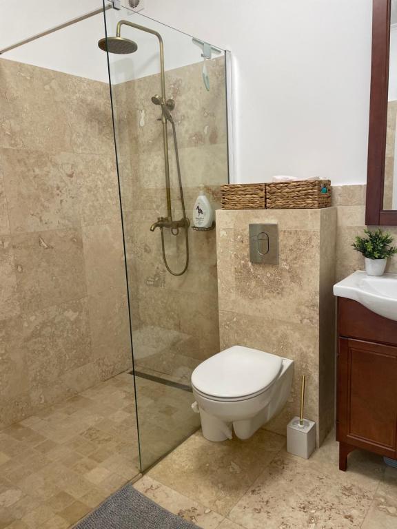 Un baño con ducha, inodoro y lavabo. en Apartament CETATE ALBA CAROLINA, en Alba Iulia