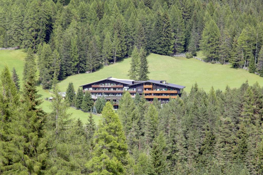 Příroda nedaleko hotelu