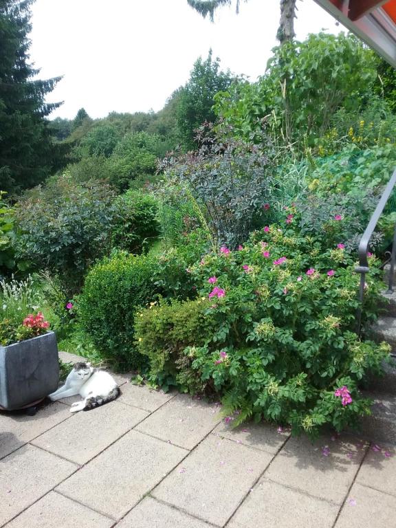 Κήπος έξω από το Perlenbachtal