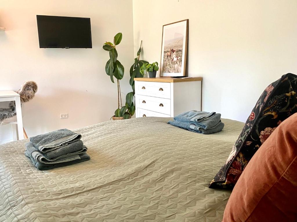 TV o dispositivi per l'intrattenimento presso Bøgelund Sleep-in