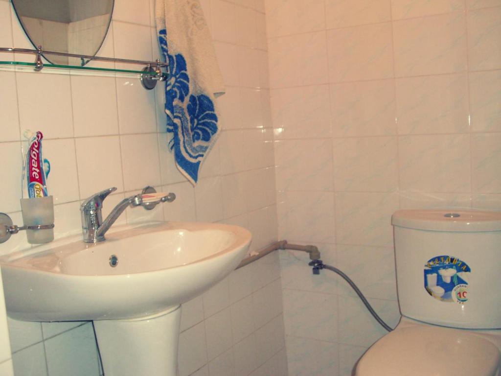 The Kiwi House - Bett Im Schlafsaal In 4-Betten
