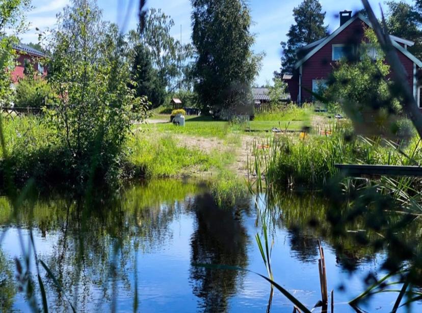 a view of a pond with a house in the background at Koselig hytte langs elven in Skien
