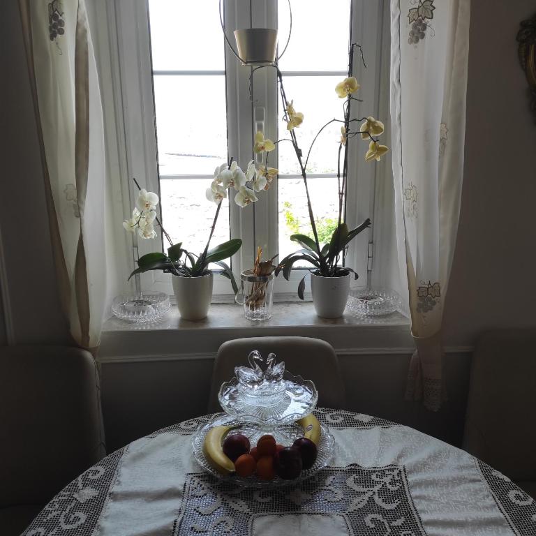 Guesthouse Bogdanovic - 15