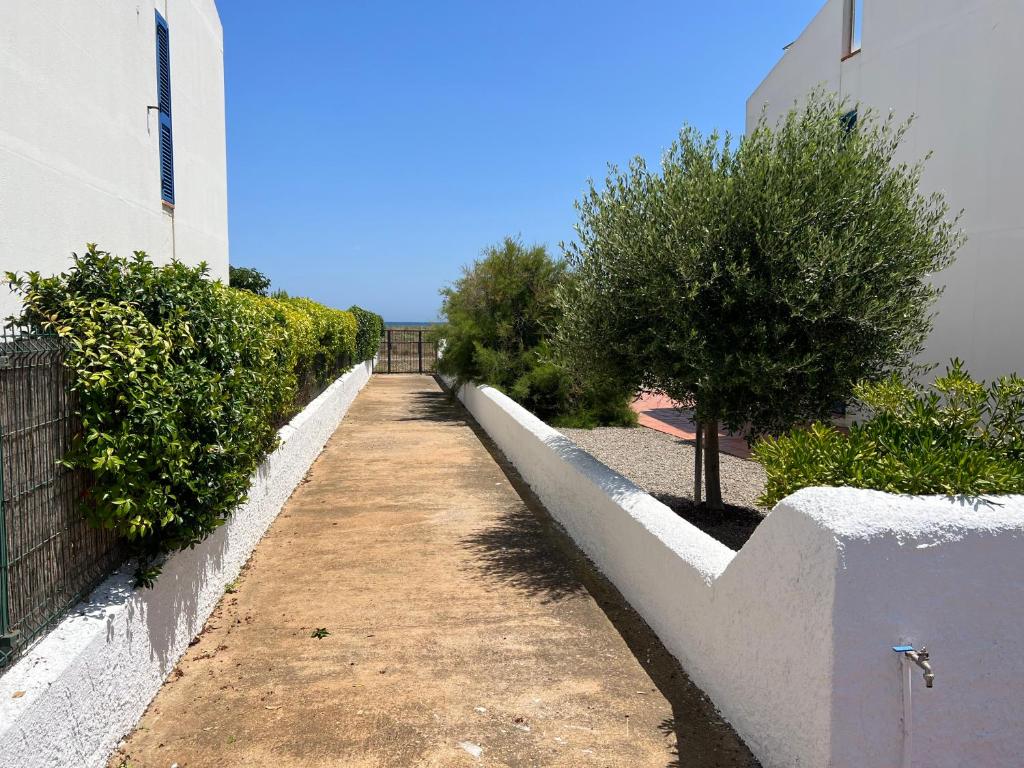 Fotografie z fotogalerie ubytování Les Dunes 5081 v destinaci Torroella de Montgrí