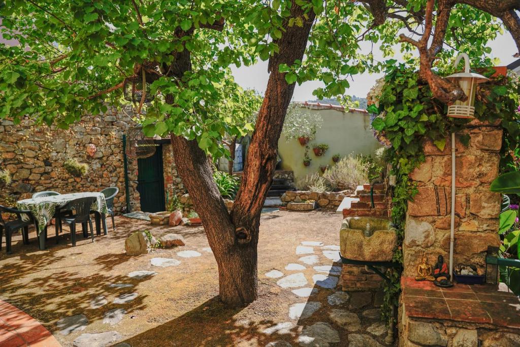 ein Baum im Innenhof mit einem Tisch und Stühlen in der Unterkunft 071 - CASA GIOIELLO, GIARDINO, 10 minuti MARE SPIAGGIE in Sestri Levante