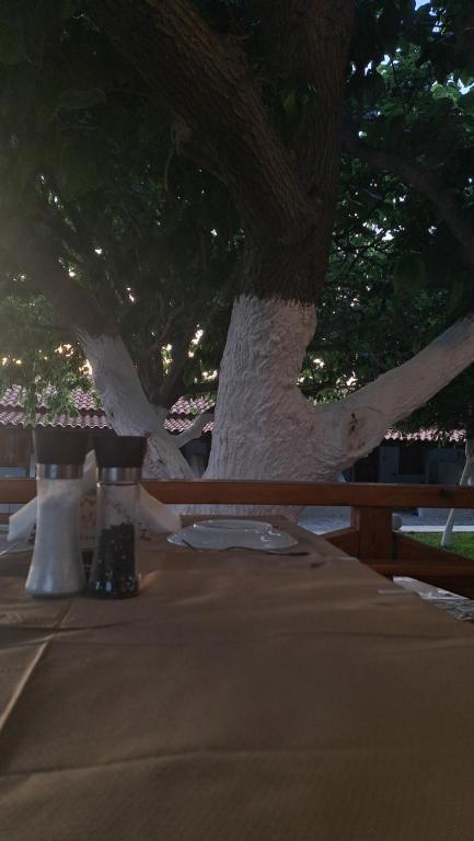a table under a tree next to a fence at Gregory's Village in Platy