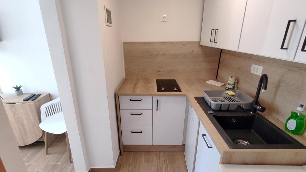 Kuchyň nebo kuchyňský kout v ubytování Comfy Studio in Ankaran JB4