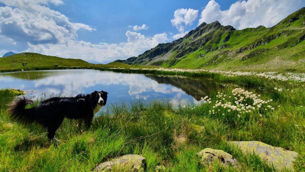 Příroda nedaleko apartmánu