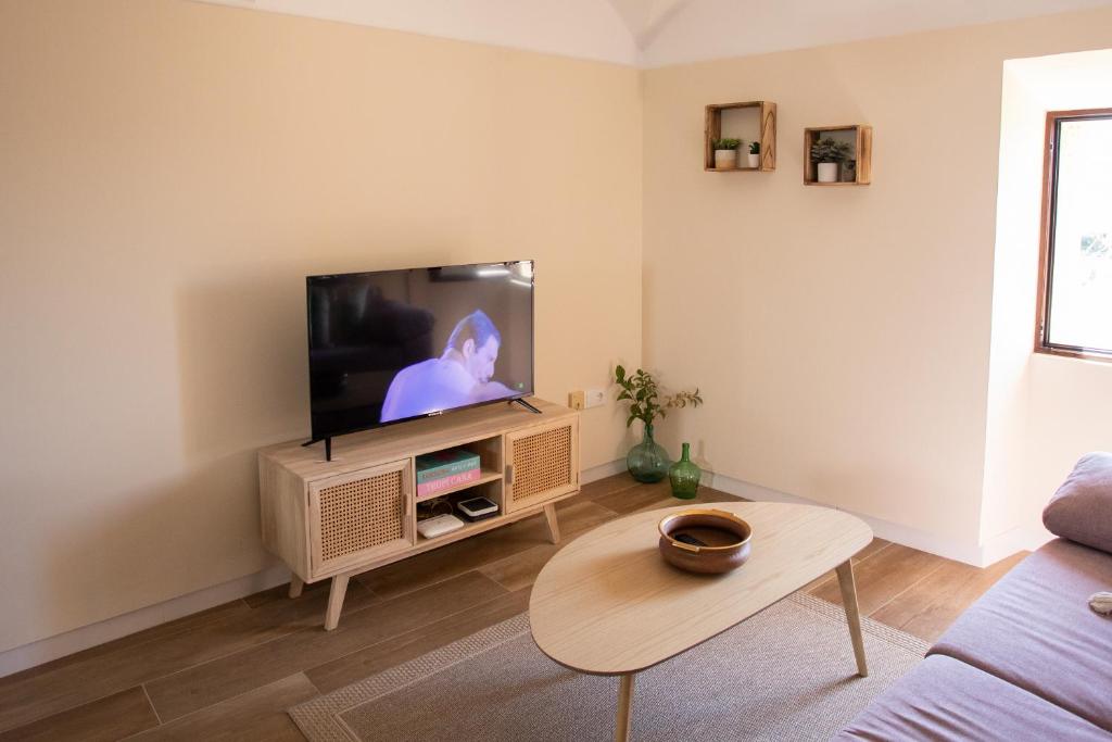 Televízia a/alebo spoločenská miestnosť v ubytovaní Apartamento Baluarte de los Pozos