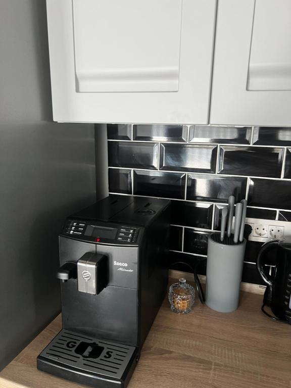 Kuchyň nebo kuchyňský kout v ubytování Apartament Maya Lumina