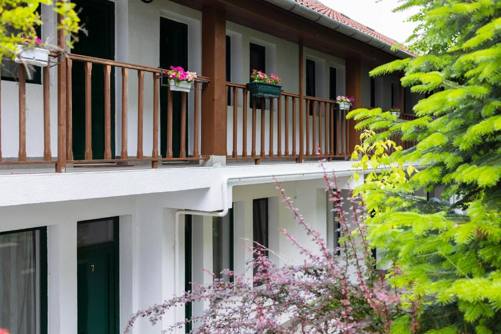 Billede fra billedgalleriet på Pensiunea 7 Tei i Cisnădioara