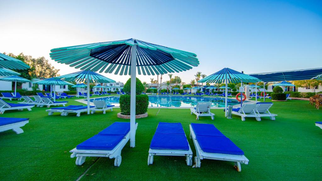 Bazén v ubytování Ghazala Beach nebo v jeho okolí