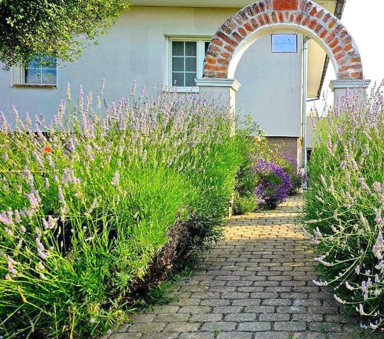 Dreamly Suites - Appartement Met Drie Slaapkamers