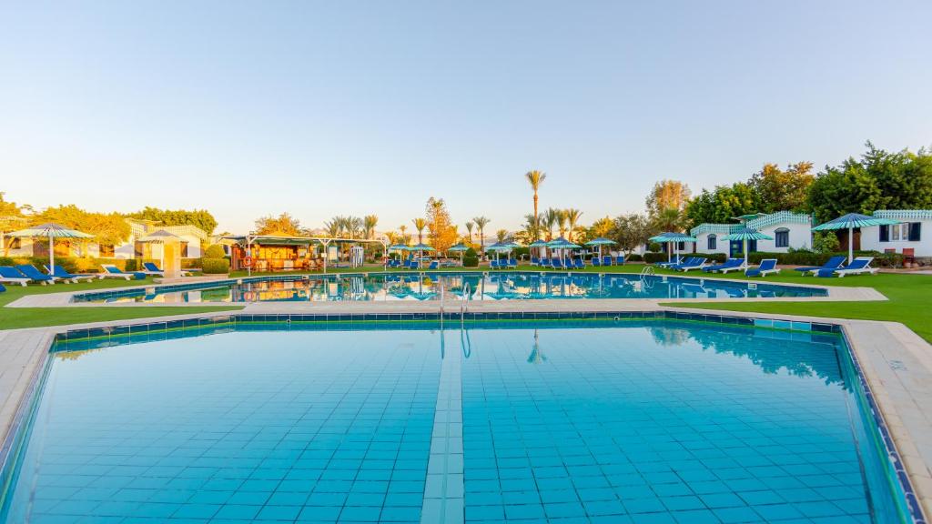 Bazén v ubytování Ghazala Beach nebo v jeho okolí